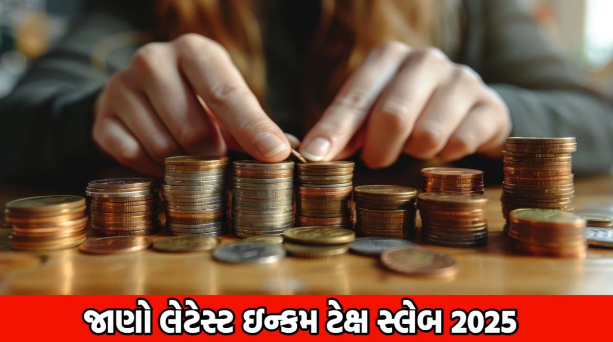 Income Tax Slabs 2025: ઇન્કમ ટેક્સ સ્લેબ 2025